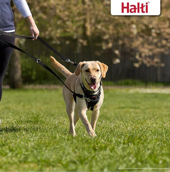 Guinzaglio educativo multiposizione da 2 m per cani