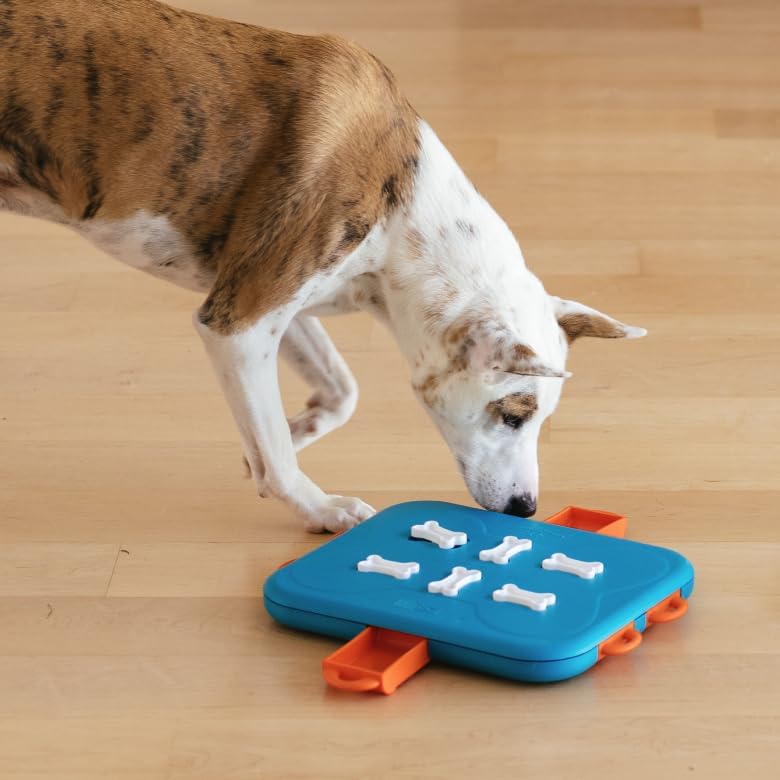 Dog Casino Denkspiel Level 3 für Hunde