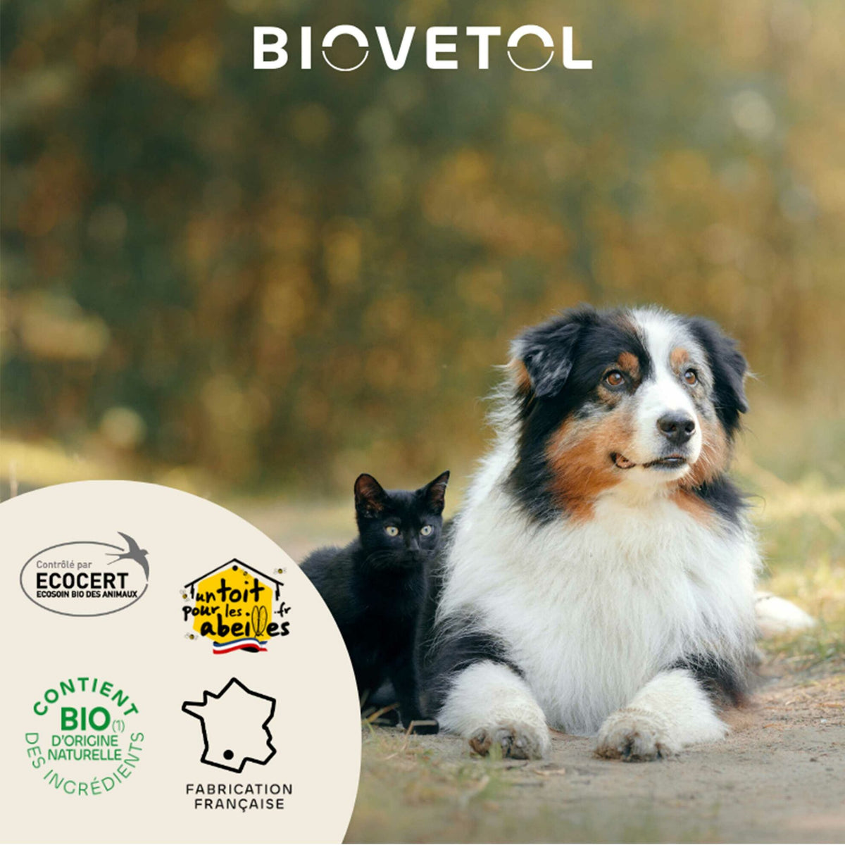 Organic dental lotion for dogs and cats