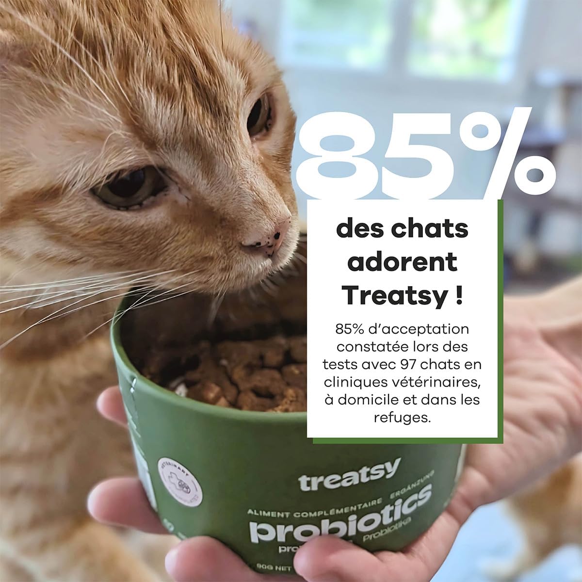 Suplemento alimentar probiótico de peixe e frango para gatos