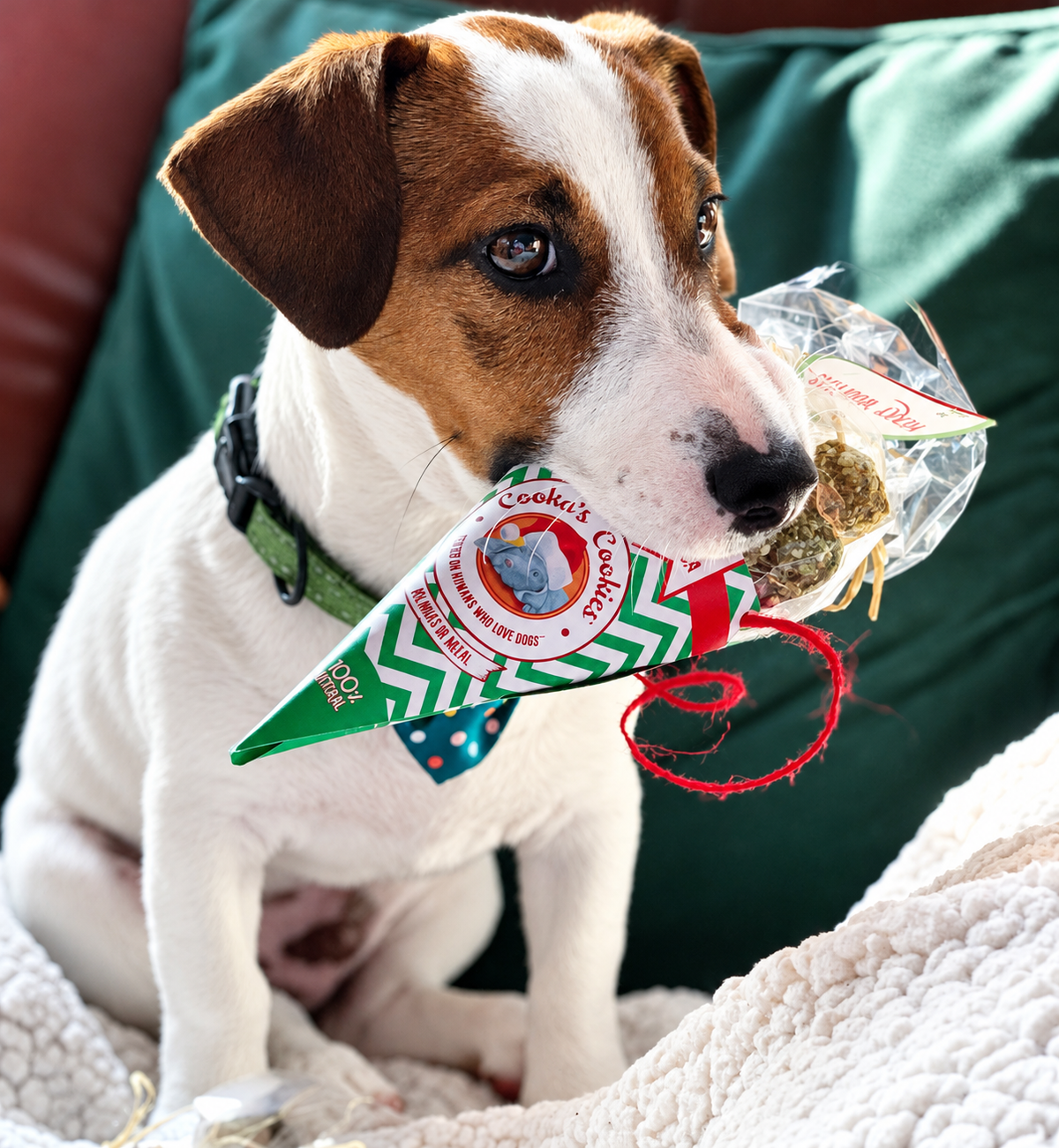 Festliche Rinderleckerlitüte für Hunde