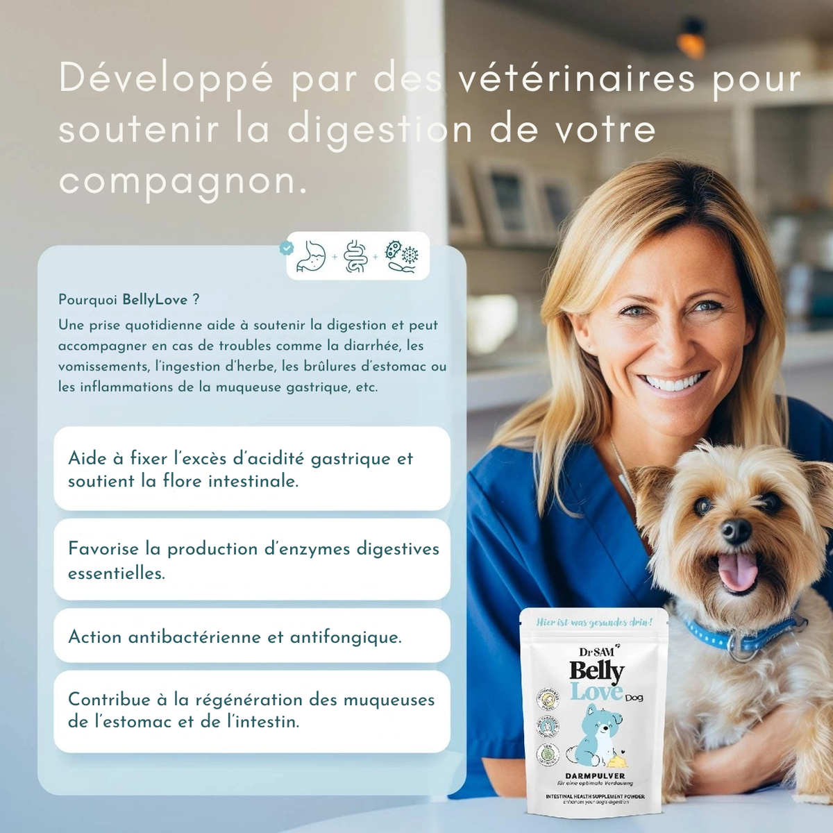 Herbal intestinal powder