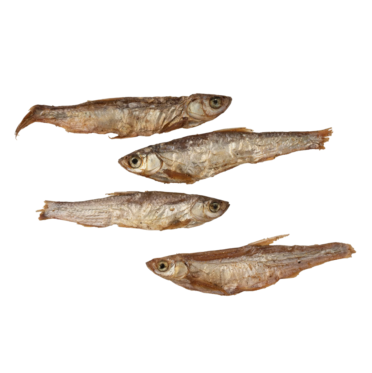 Petits poissons séchés pour chiens et chats