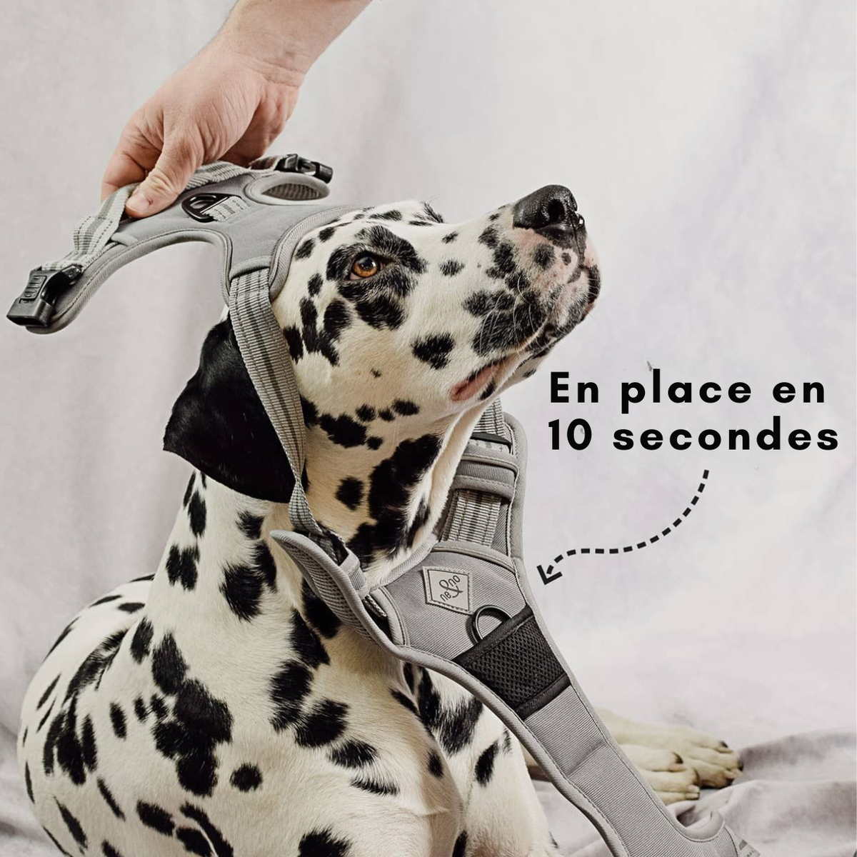 Harnais réfléchissant anti-traction pour chiens