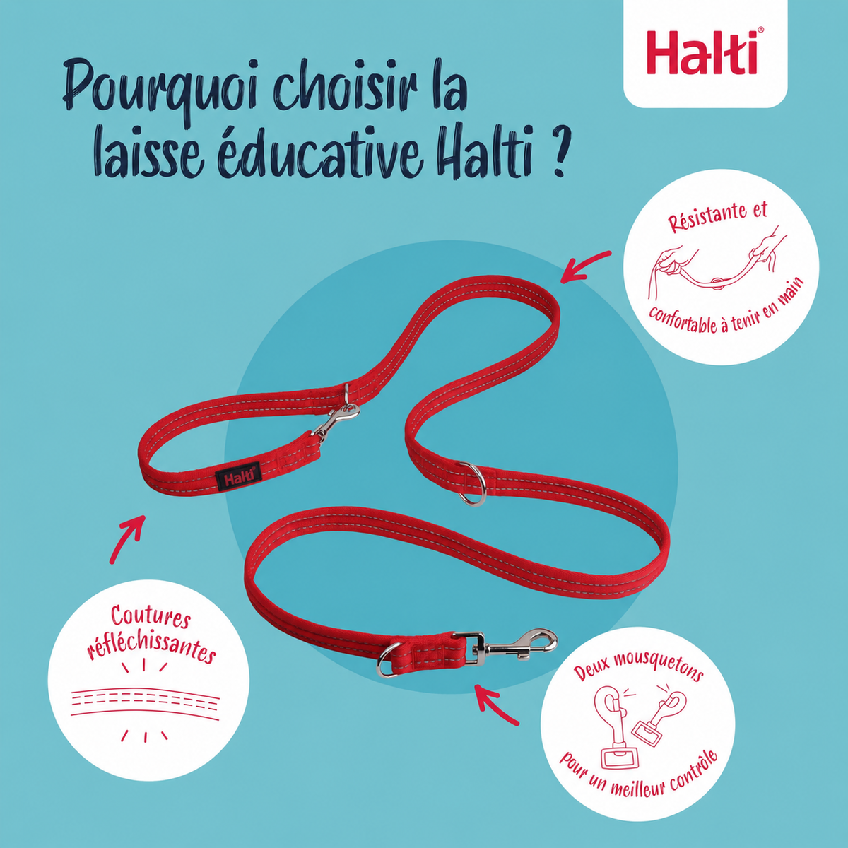 Guinzaglio educativo multiposizione da 2 m per cani
