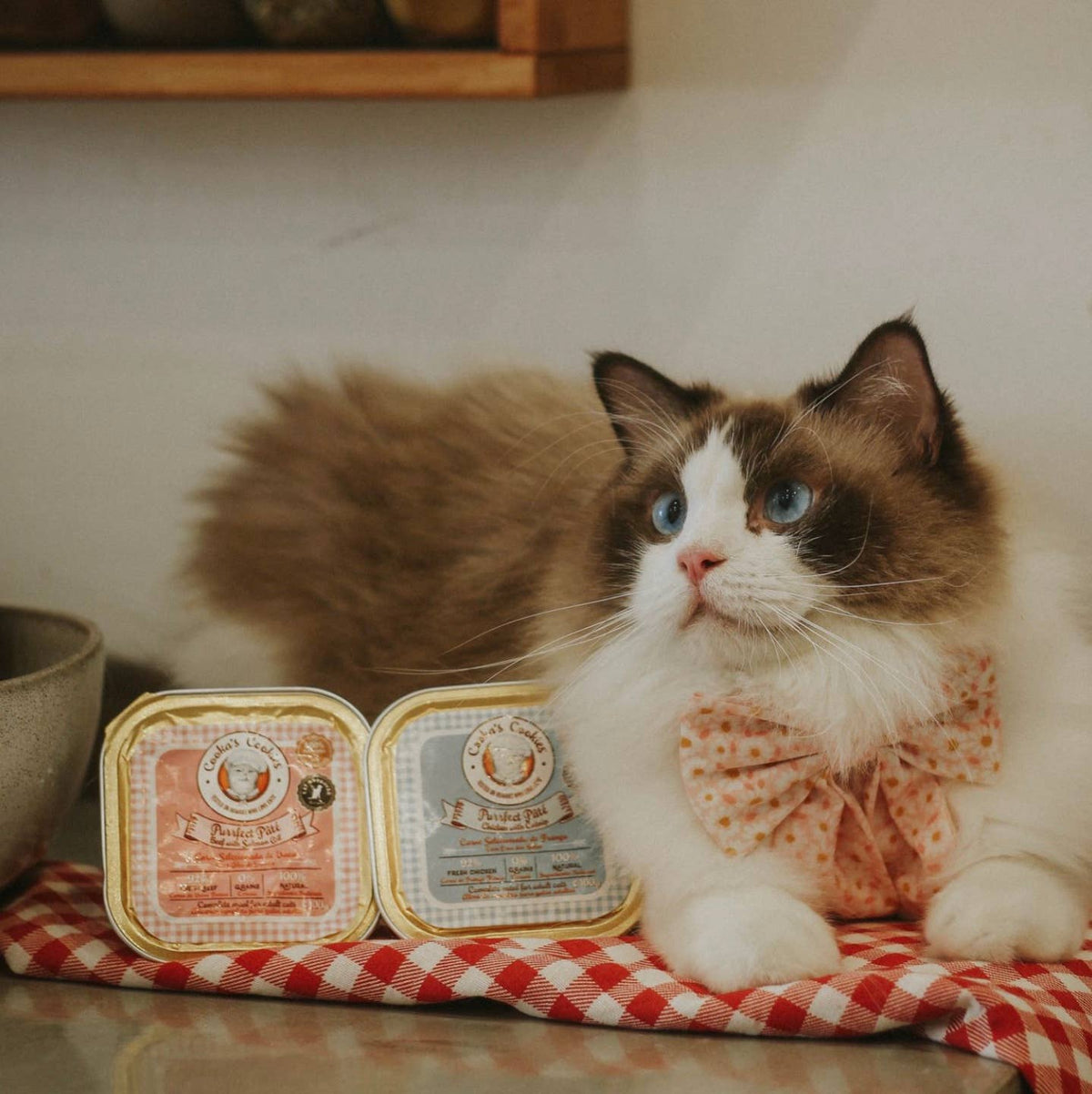 Paté de ternera y aceite de salmón