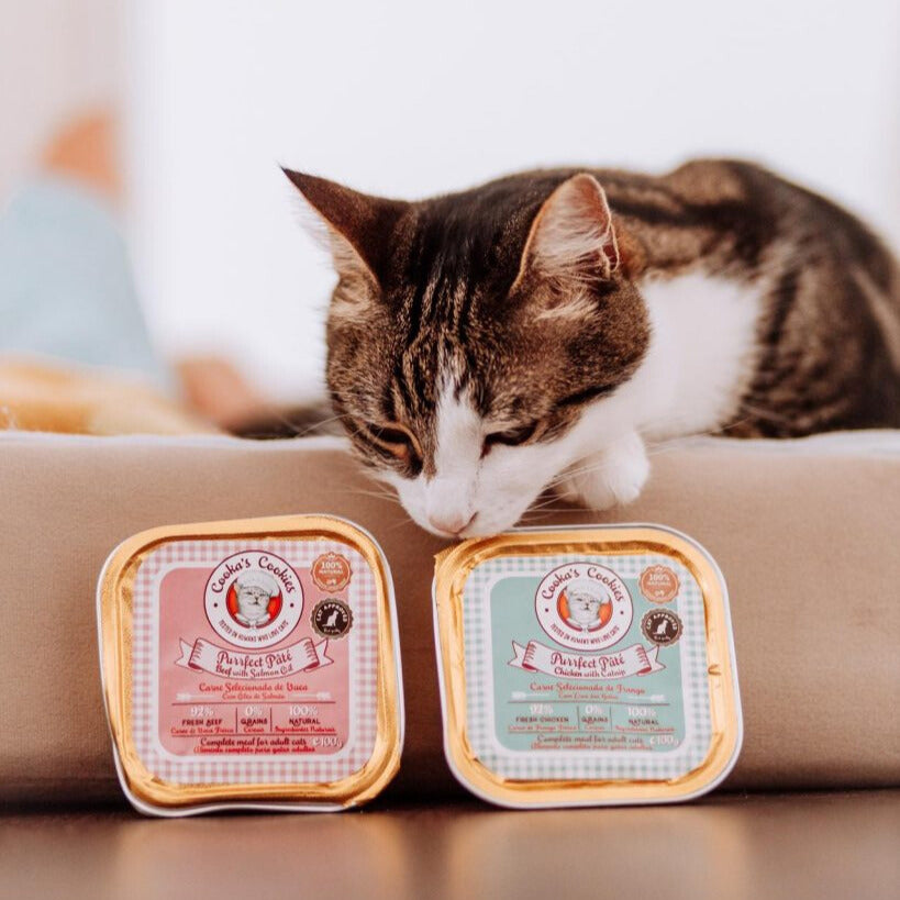 Hähnchenpastete mit Katzenminze