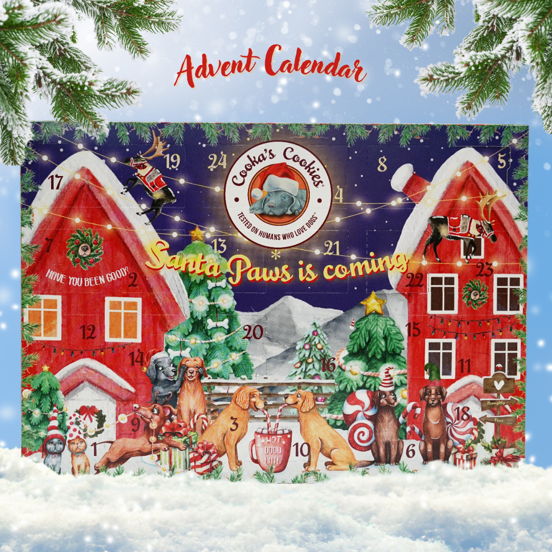 Adventskalender mit 48 Leckerlis für Hunde