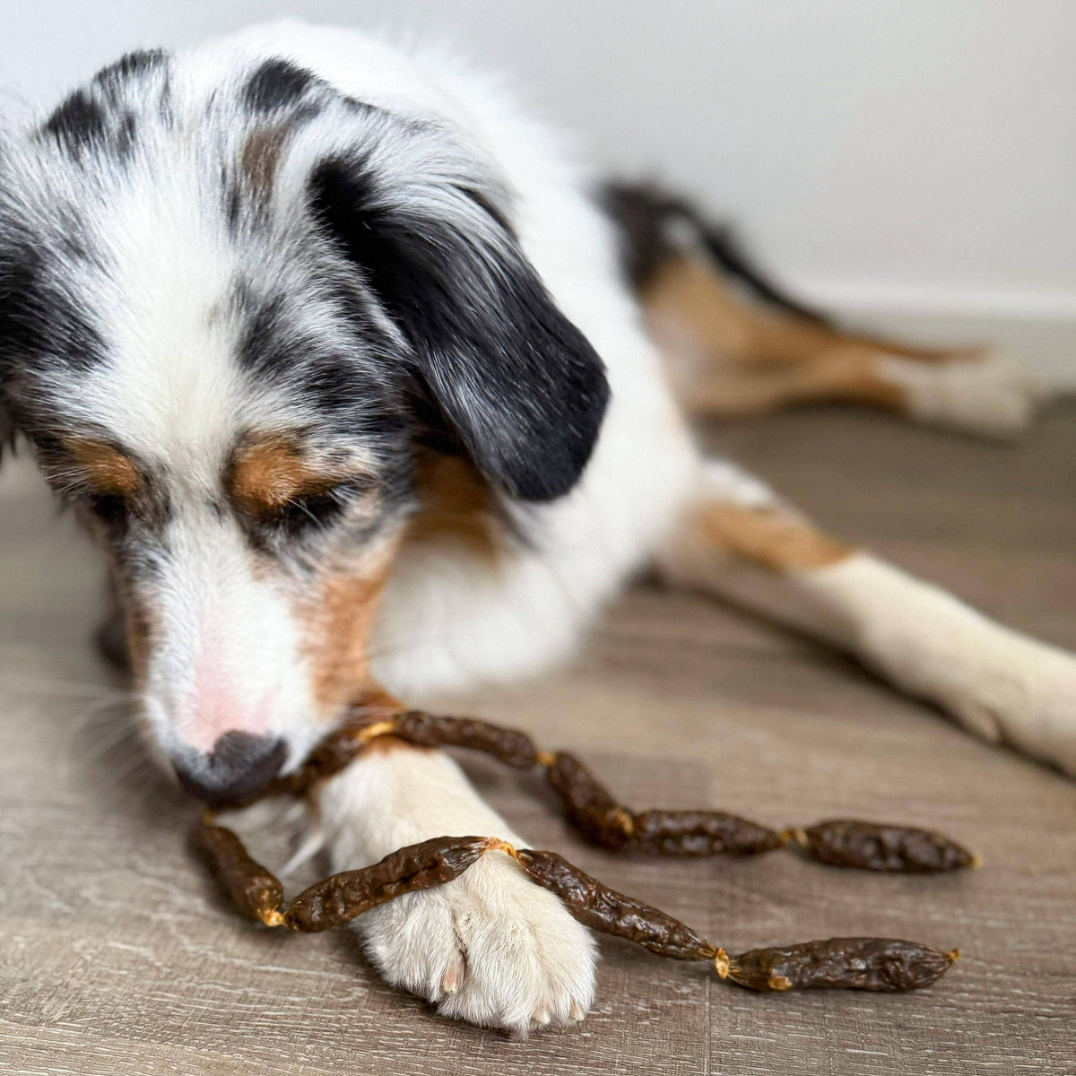 Saucisses séchées de bœuf pour chiens
