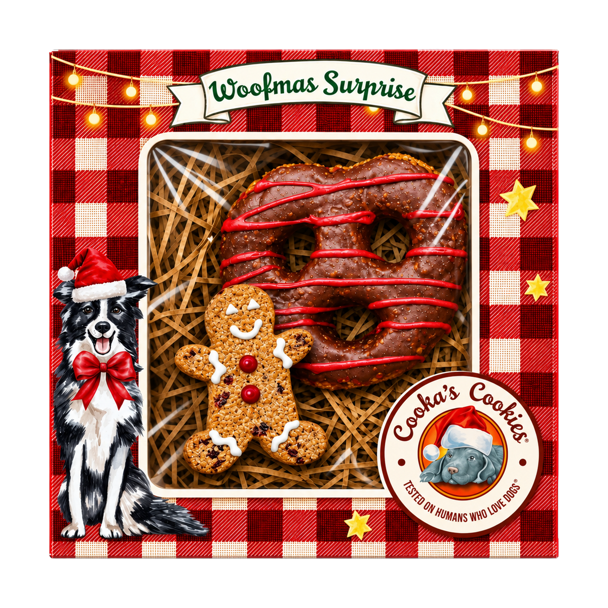 Coffret de biscuits de Noël à la dinde pour chiens
