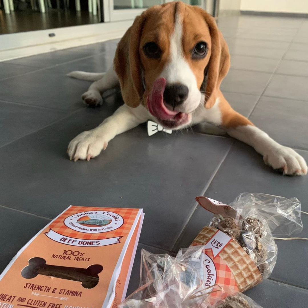 Turkey treat cone for dogs