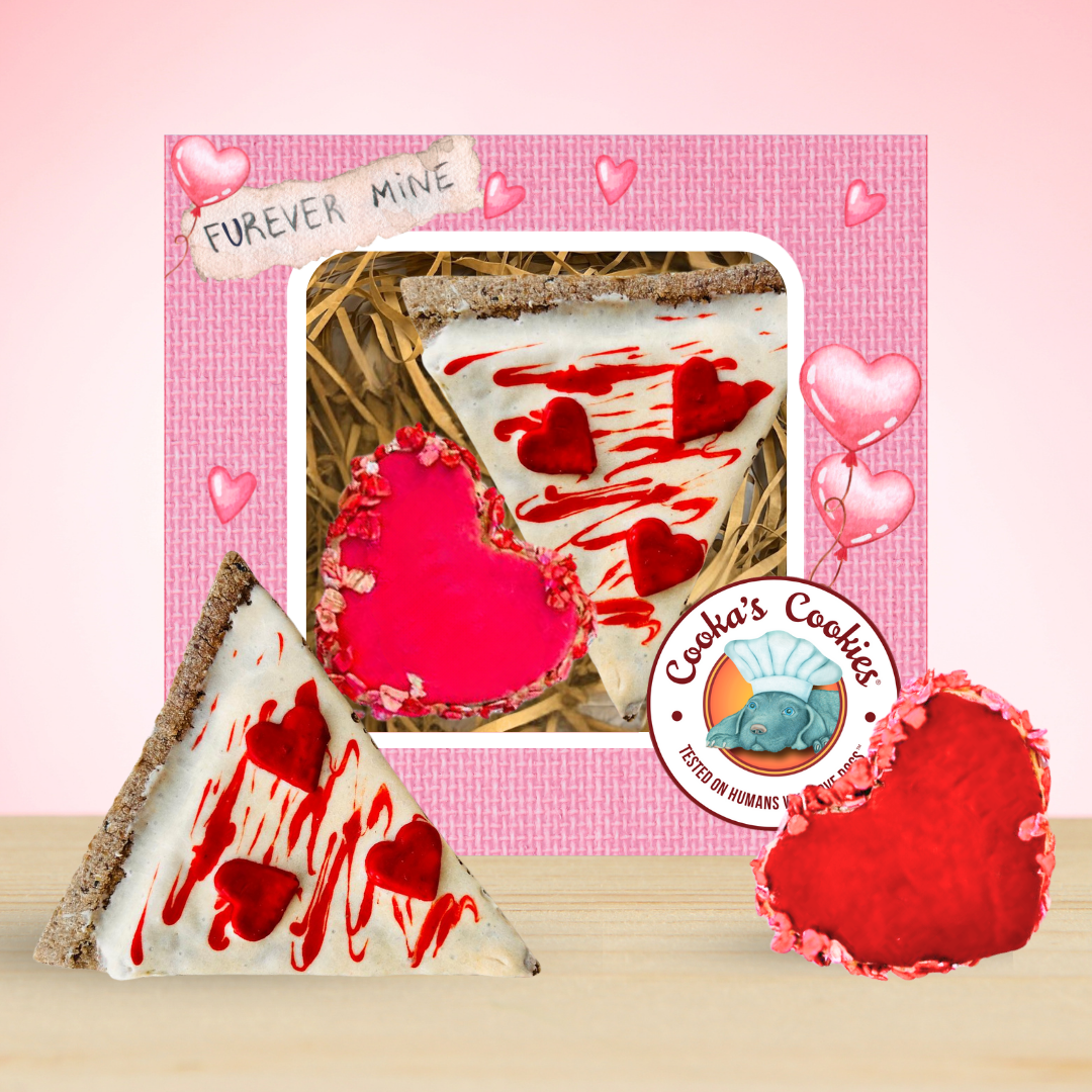 Coffret cadeau biscuits pour chiens