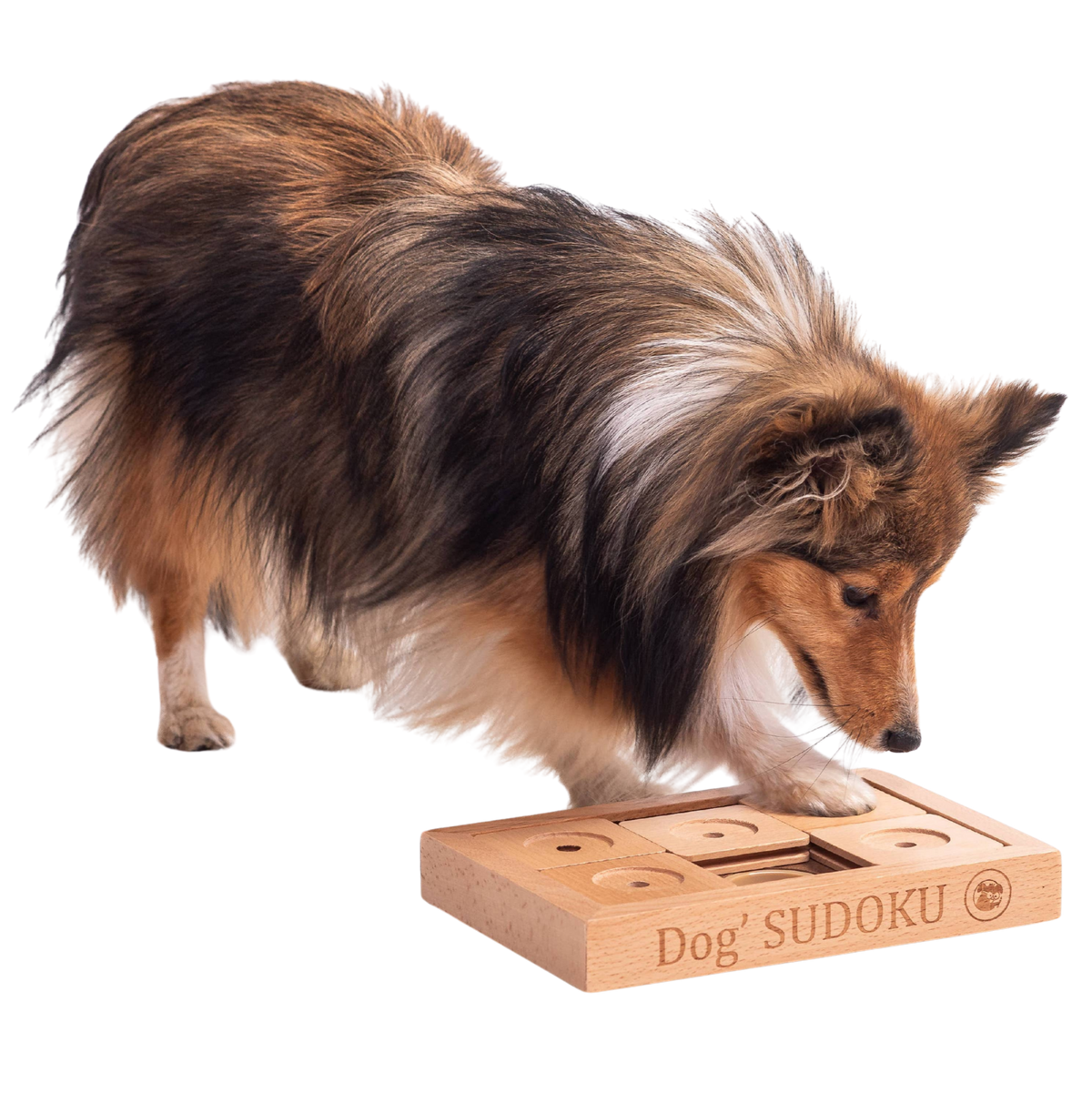 Fortgeschrittenes Sudoku-Denkspiel aus Holz für kleine Hunde und Katzen