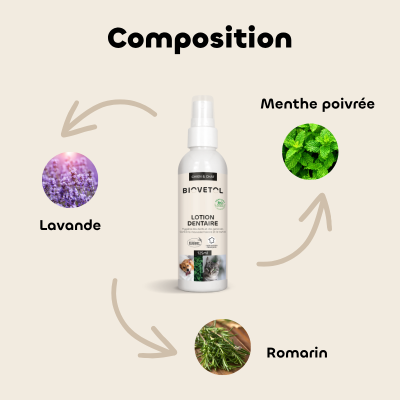 Bio-Zahnlotion für Hunde und Katzen