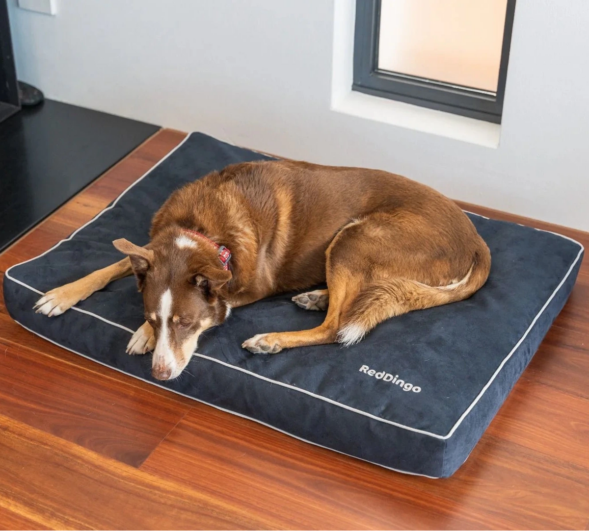 Weiche, mit Bezug abnehmbare Hundematratze