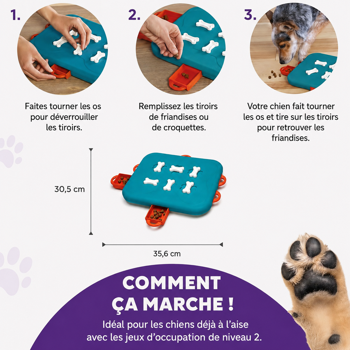 Dog Casino Denkspiel Level 3 für Hunde