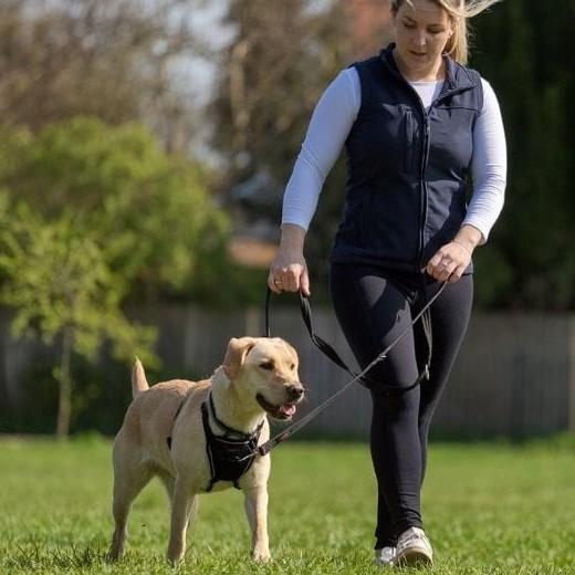 Laisse éducative multiposition de 2 m pour chiens