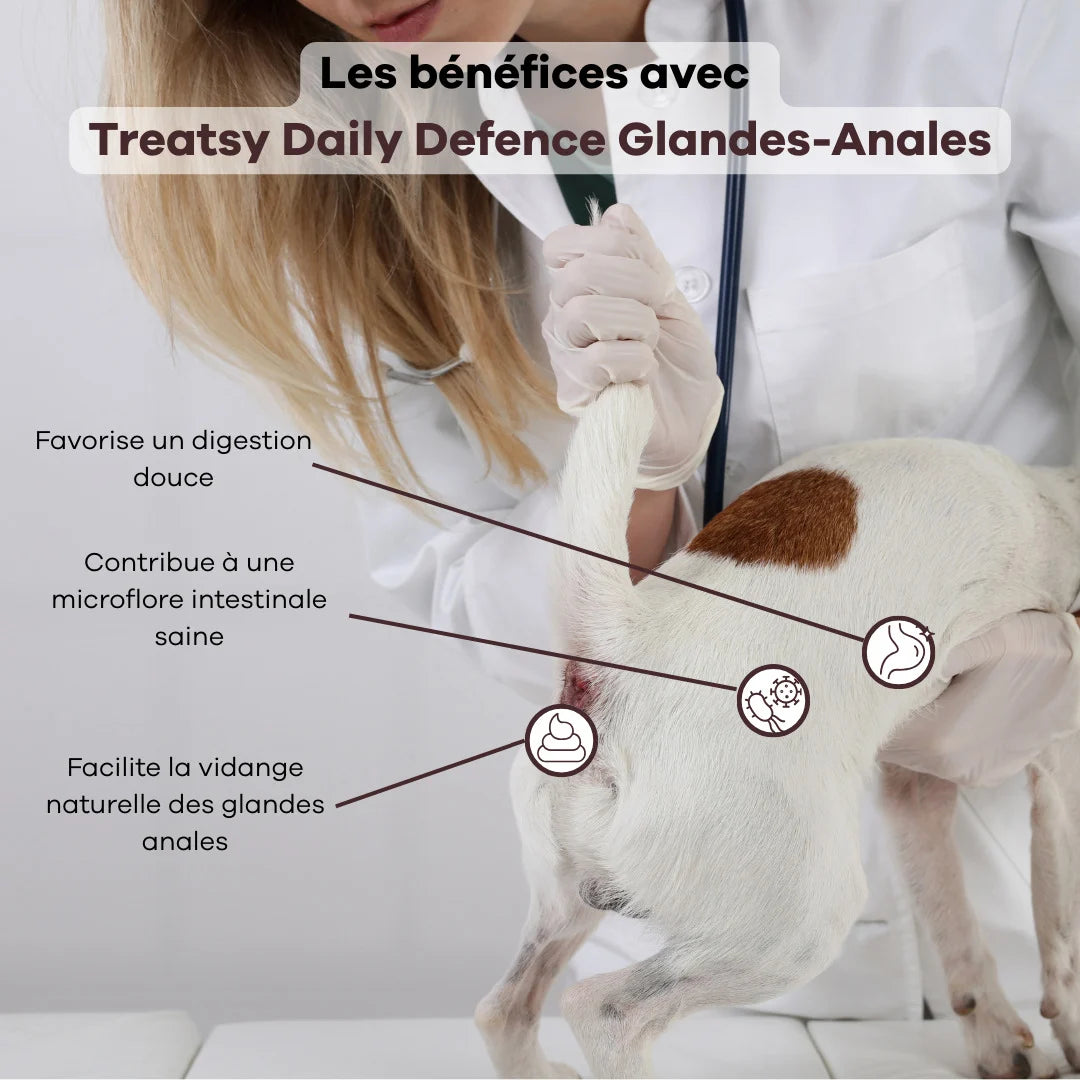 Integratore alimentare per le ghiandole anali dei cani