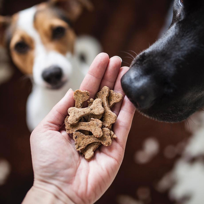 Galletas crujientes de res en forma de hueso
