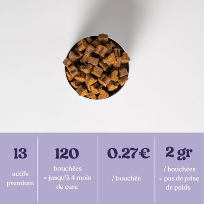 Suplemento alimentar anti-stress para cães