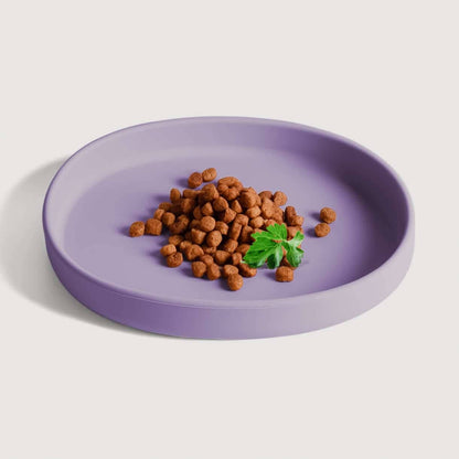 Cuenco plano de silicona