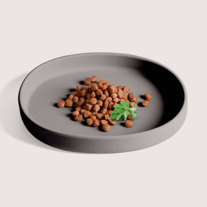 Cuenco plano de silicona