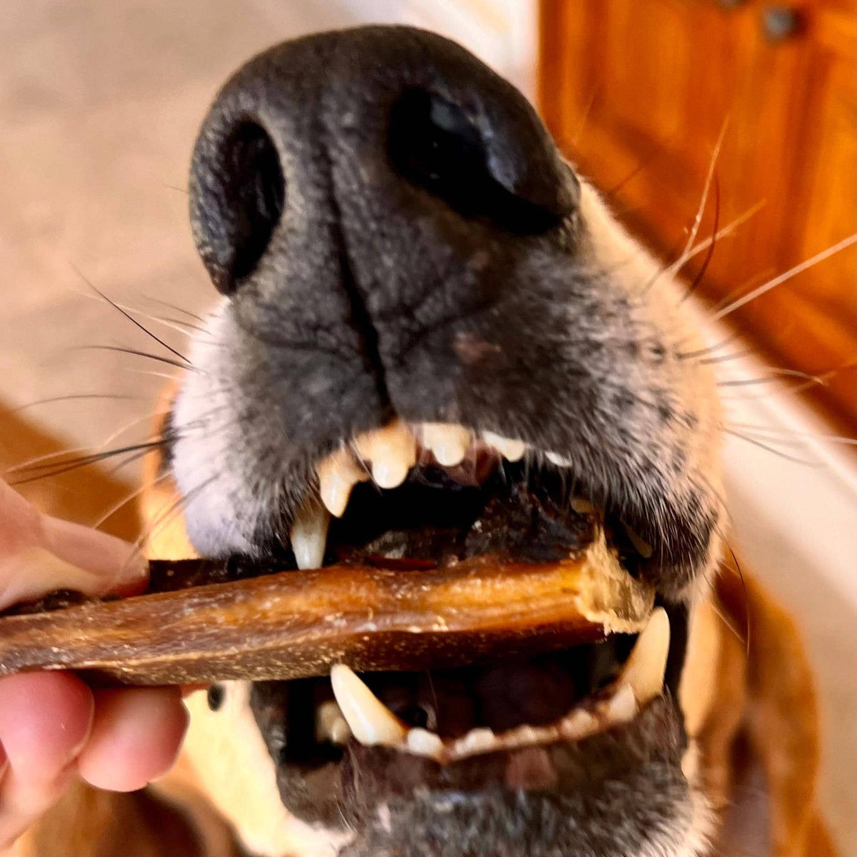 Getrocknete Schweinedarm-Leckerlis für Hunde