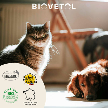 Loción ocular ecológica para perros y gatos