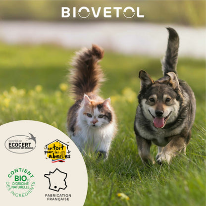 Loción limpiadora ecológica para las orejas de perros y gatos