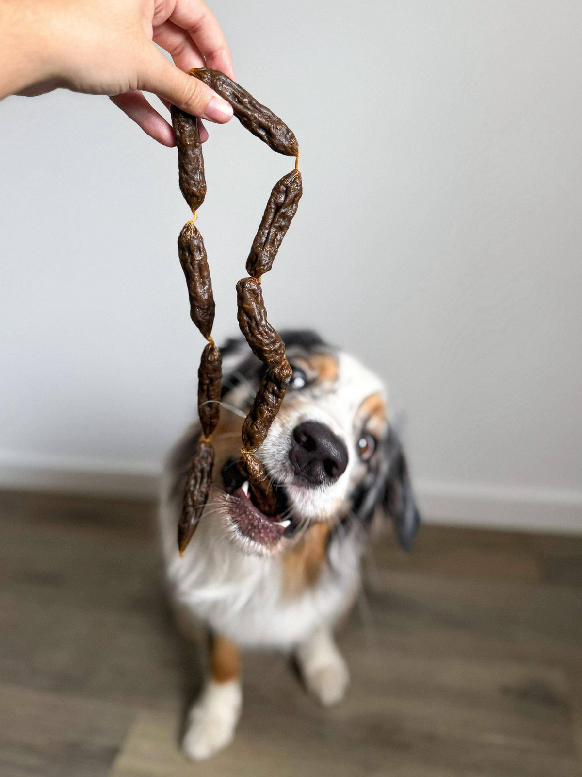 Saucisses séchées de dinde pour chiens