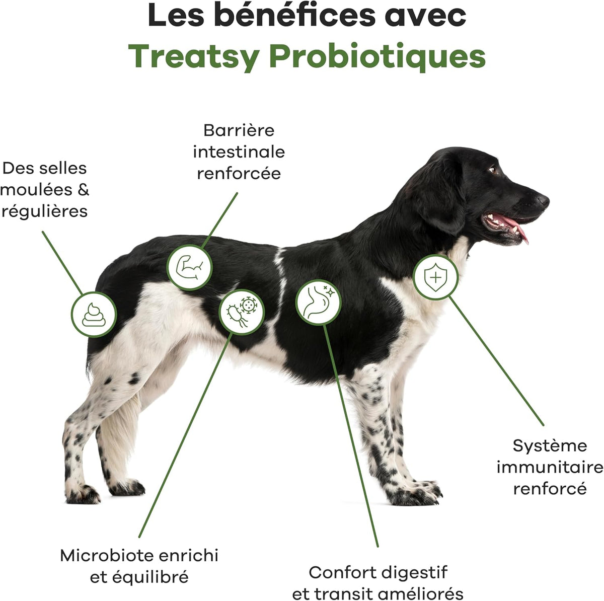 Probiotisches Hühner-Nahrungsergänzungsmittel für Hunde