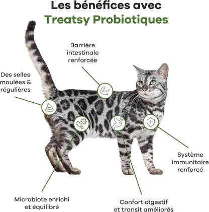 Suplemento alimentar probiótico de peixe e frango para gatos