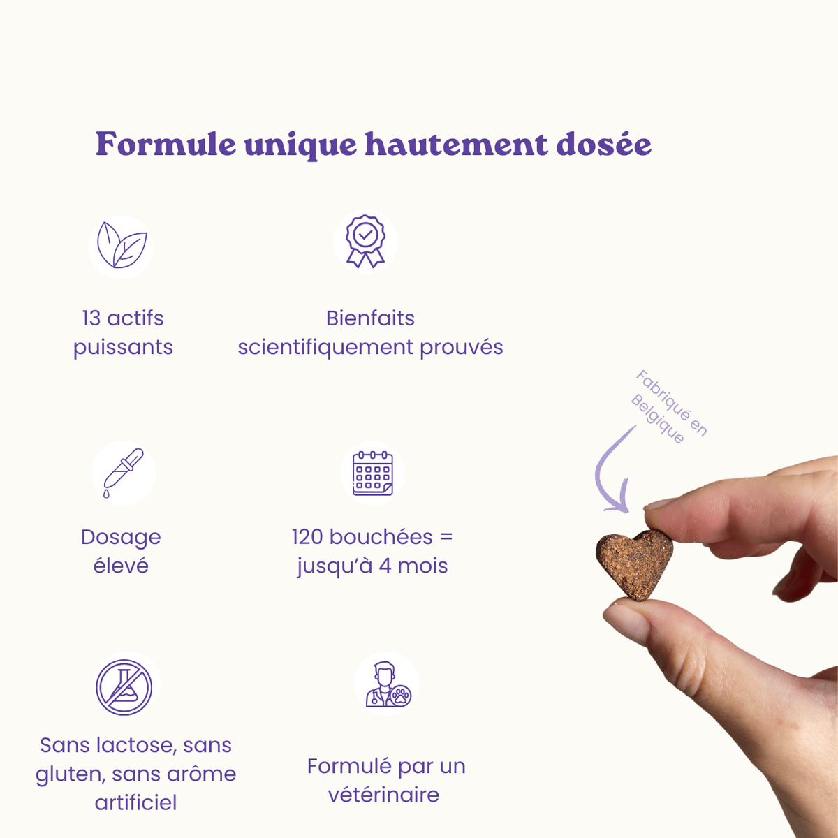 Suplemento alimentar anti-stress para cães