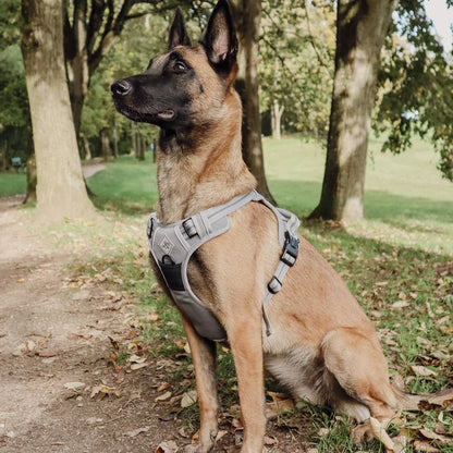 Harnais réfléchissant anti-traction pour chiens