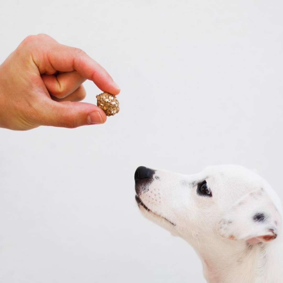 Hundesnacks-Hörner mit Schweinefleisch und Sardine