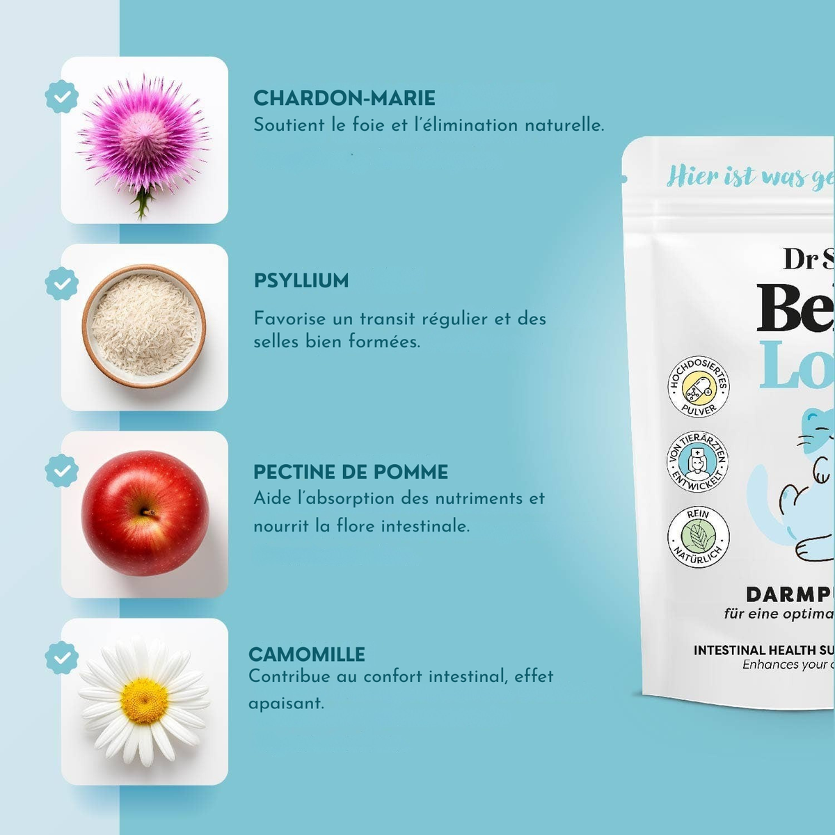 Polvo intestinal a base de plantas para gatos