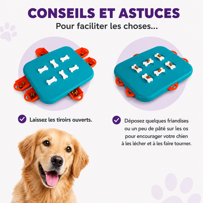 Dog Casino Denkspiel Level 3 für Hunde