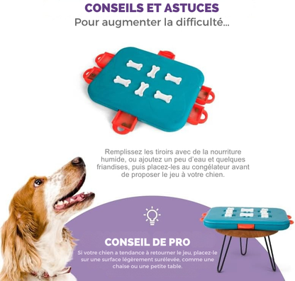Dog Casino Denkspiel Level 3 für Hunde