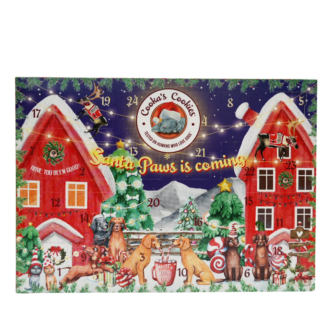 Adventskalender mit 48 Leckerlis für Hunde
