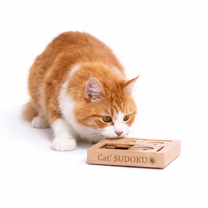 Gioco di logica Sudoku in legno per principianti, per cani e gatti di piccola taglia