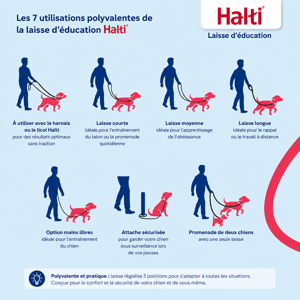 Guinzaglio educativo multiposizione da 2 m per cani
