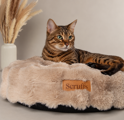 Kuscheliges rundes Kissen für Katzen und kleine Hunde