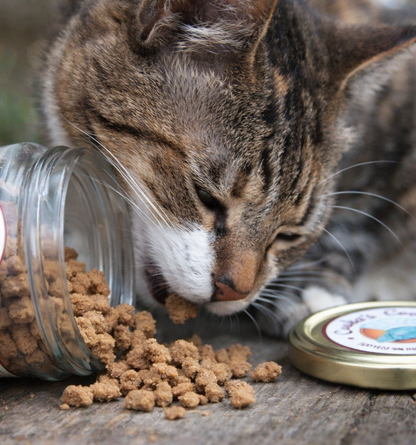 Sbriciolato di pollo disidratato per cani e gatti