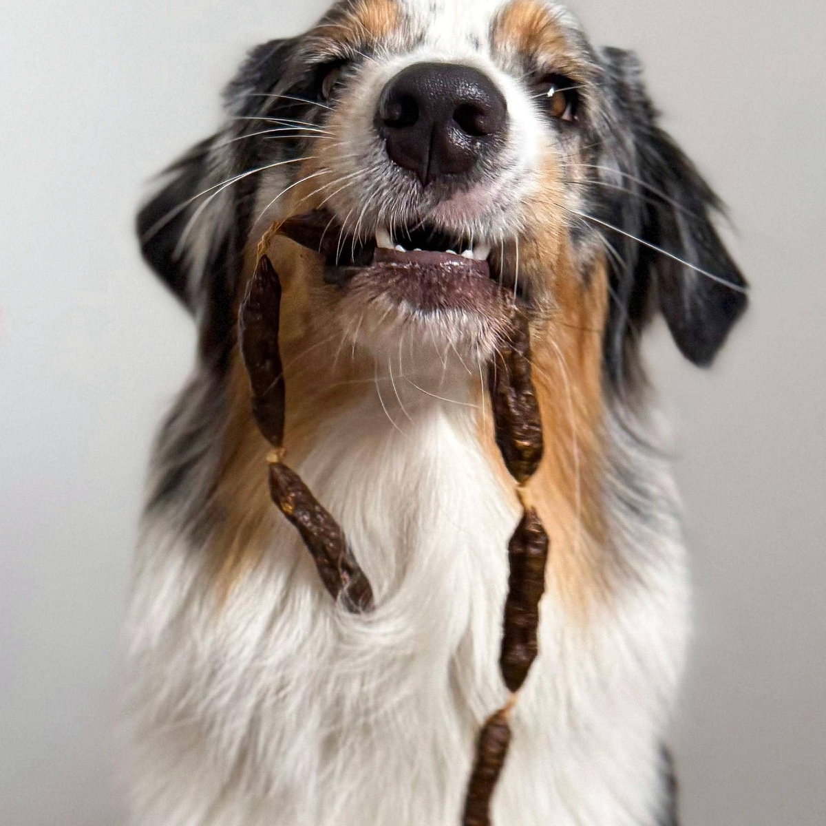 Getrocknete Rinderwürstchen für Hunde