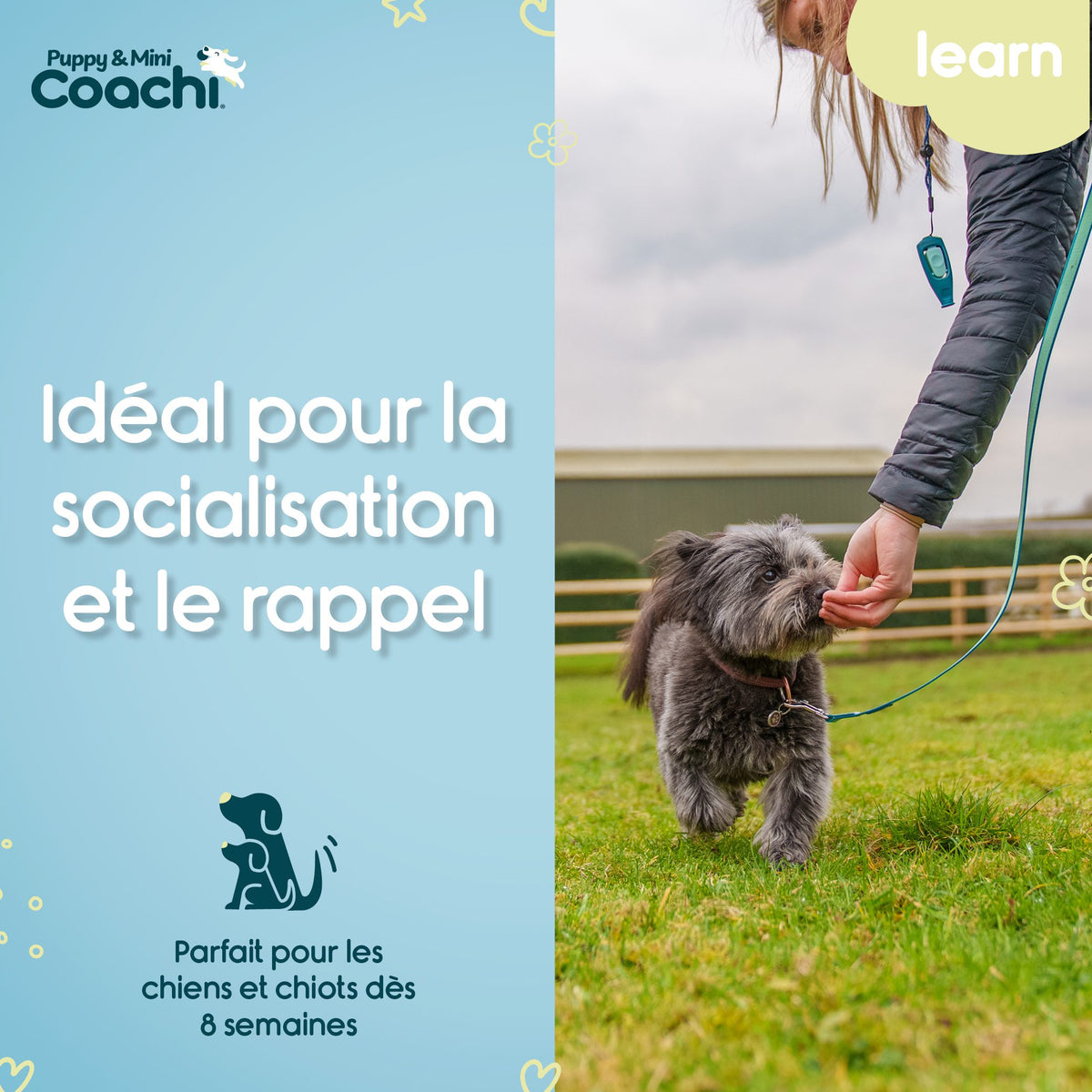 Longe waterproof pour chiots et chiens de petite taille