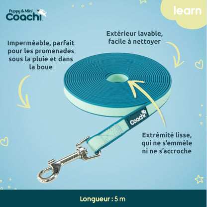 Longe waterproof pour chiots et chiens de petite taille