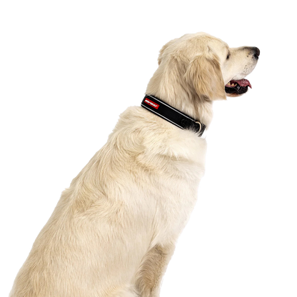 Coleira Neo Classic em neopreno para cães