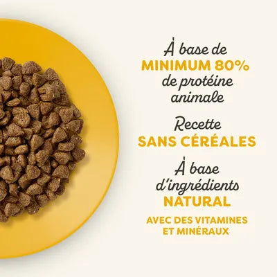 Ração de frango para gatos seniores