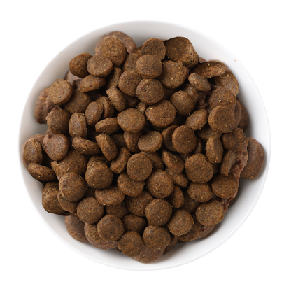 Gewichtskontroll-Trockenfutter Lamm und Quinoa für ausgewachsene Katzen