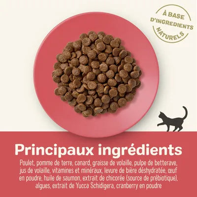 Croquetes de frango e pato para gatos adultos